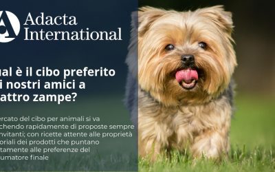 QUAL E’ IL CIBO PREFERITO DAI NOSTRI AMICI A QUATTRO ZAMPE?