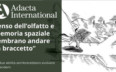 Senso dell’olfatto e memoria spaziale sembrano andare “a braccetto”